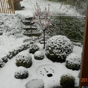 Wintereinbruch 004.JPG