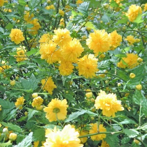 PICT0003.JPG