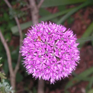 PICT0006.JPG