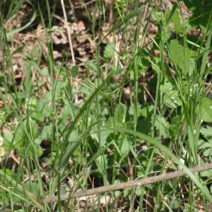 DSCF9671.JPG