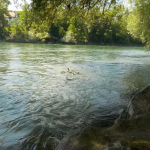 DSCN3672.JPG