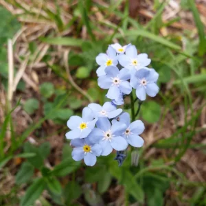 20170613_153132.jpg