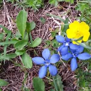20170613_153127.jpg