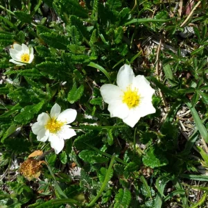 20170613_151637.jpg