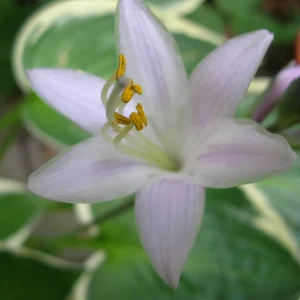 DSCN7153.JPG