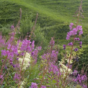DSCN3765.JPG