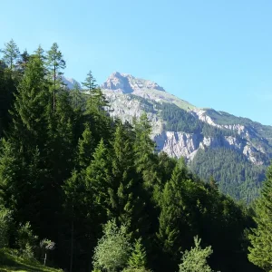 20170618_172121.jpg