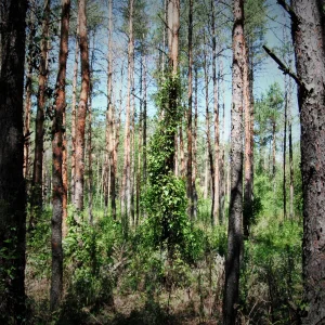 DSCF9982.JPG