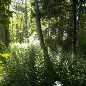 DSCN3768.JPG