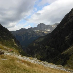 D0120.JPG