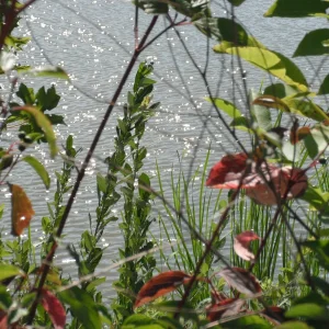 DSCF0099.JPG
