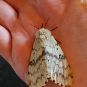 20170807_161611.jpg