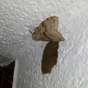 20170721_213519.jpg