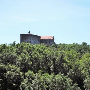 DSCF9769.JPG