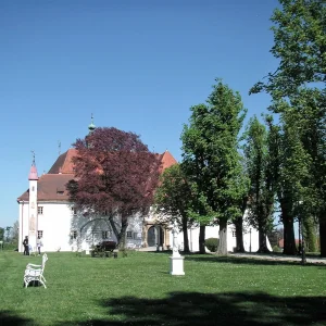 PICT0050.JPG