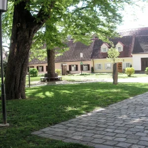 PICT0042.JPG