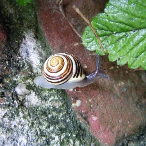 DSCN9337.JPG