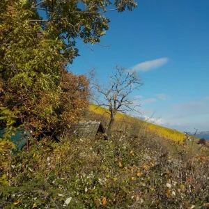 DSCN3919.JPG