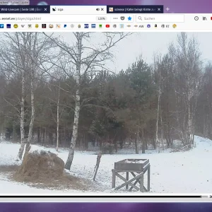 upload_2018-2-9_7-50-20.png