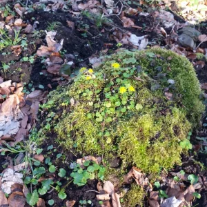 20180314_154709.jpg