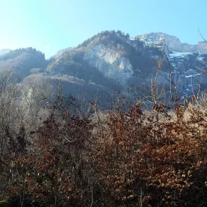 20180314_153115.jpg
