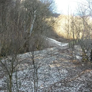 20180314_154304.jpg