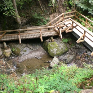 Brücke.jpg
