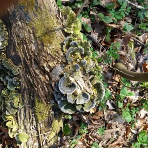 20180407_143523.jpg