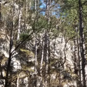 20180407_150204.jpg
