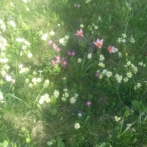 20180409_173031.jpg