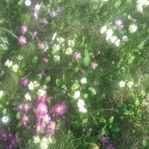 20180409_173040.jpg