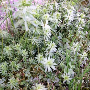 PICT0002.JPG