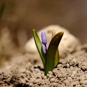 20140309_122130.JPG