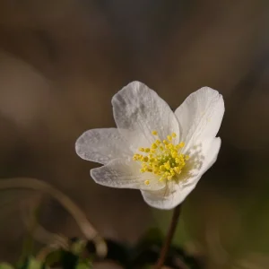 20130413_174107.jpg