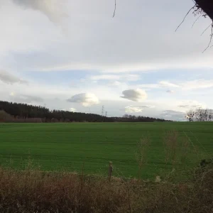 Bild2.jpg