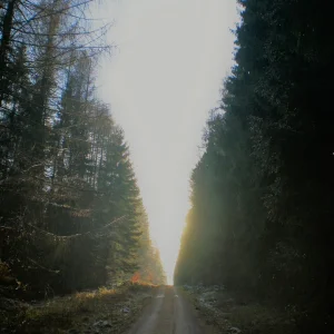 Licht.jpg