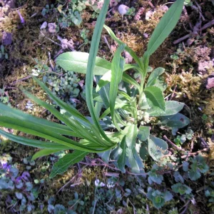 PICT0011.JPG