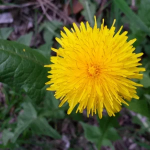 20180418_181231.jpg