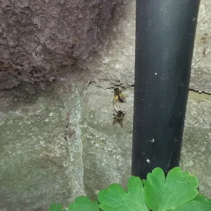 20170515_125307.jpg