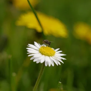 20130427_141823.jpg