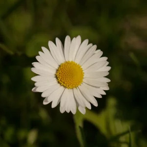 20180415_095656.JPG