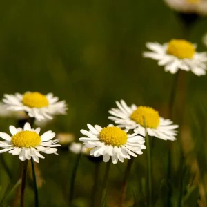 20180415_094335.JPG