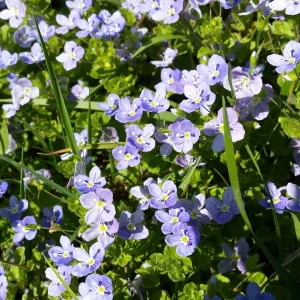 20180420_145416.jpg