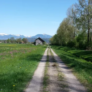20180419_152252.jpg