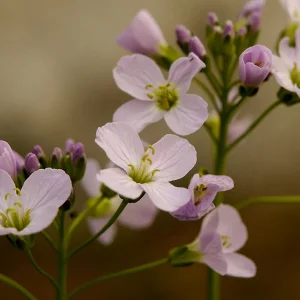 20180415_094829.JPG