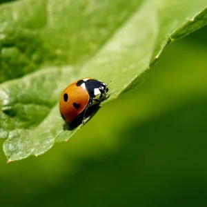 20130407_131016_02.jpg
