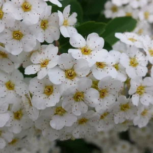 20180430_183633.jpg