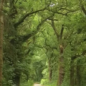 19420526_1394444937314157_6131690671960591101_n (2).jpg