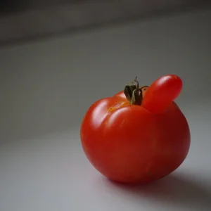 Lustige_Tomate.JPG