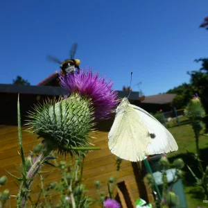 Geben und nehmen.jpg